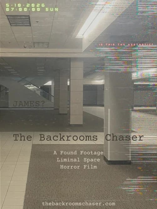 The Backrooms Chaser poster