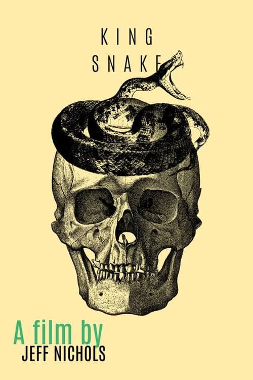 King Snake poster