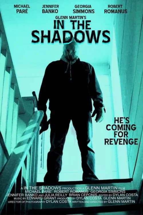 In The Shadows poster