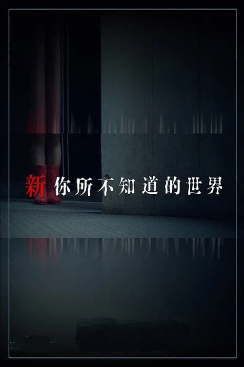 Another World You Don't Know About poster