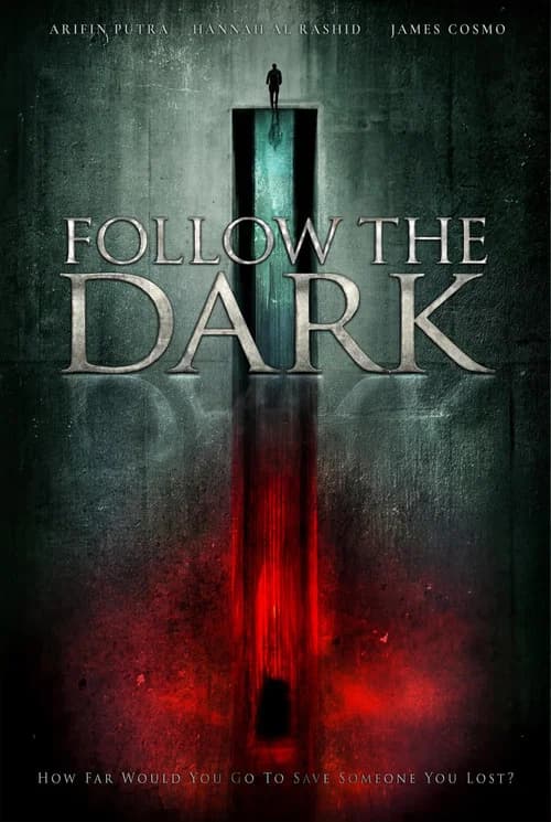 Follow the Dark poster
