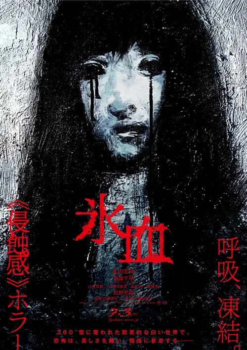 Blood on Snow poster